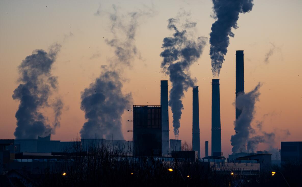 1647312211087075049.jpg 0309.jpg